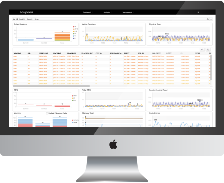 LOUPEON Database Performance Monitoring